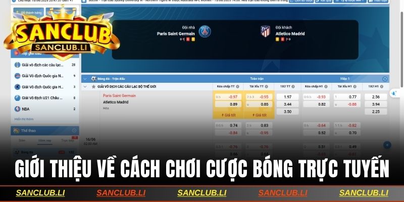 Giới thiệu về cách chơi cược bóng trực tuyến